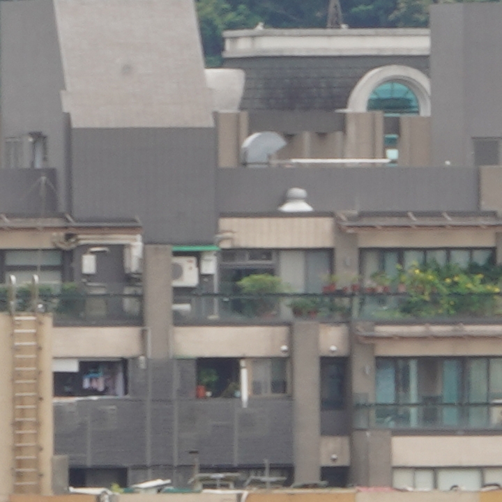 Sony 200-600mm f/5.6-6.3G OSS 超望遠變焦鏡頭的絕佳呈現