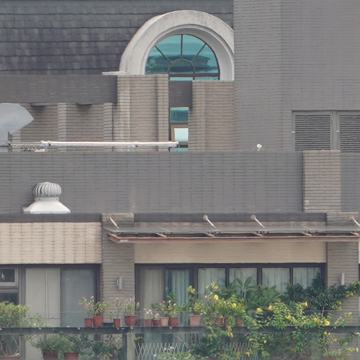 Sony 200-600mm f/5.6-6.3G OSS 超望遠變焦鏡頭的絕佳呈現