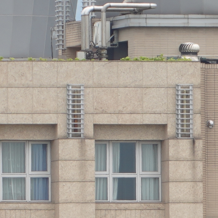 Sony 200-600mm f/5.6-6.3G OSS 超望遠變焦鏡頭的絕佳呈現