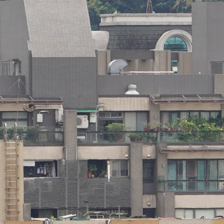Sony 200-600mm f/5.6-6.3G OSS 超望遠變焦鏡頭的絕佳呈現
