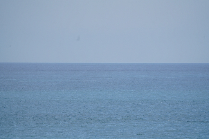 Sony 200-600mm f/5.6-6.3G OSS 超望遠變焦鏡頭的絕佳呈現