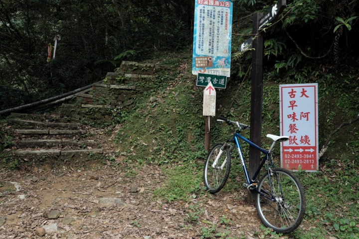 令人無法抗拒的鋼管車迷人線條...與山林共舞