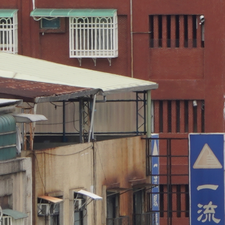 Sony 200-600mm f/5.6-6.3G OSS 超望遠變焦鏡頭的絕佳呈現