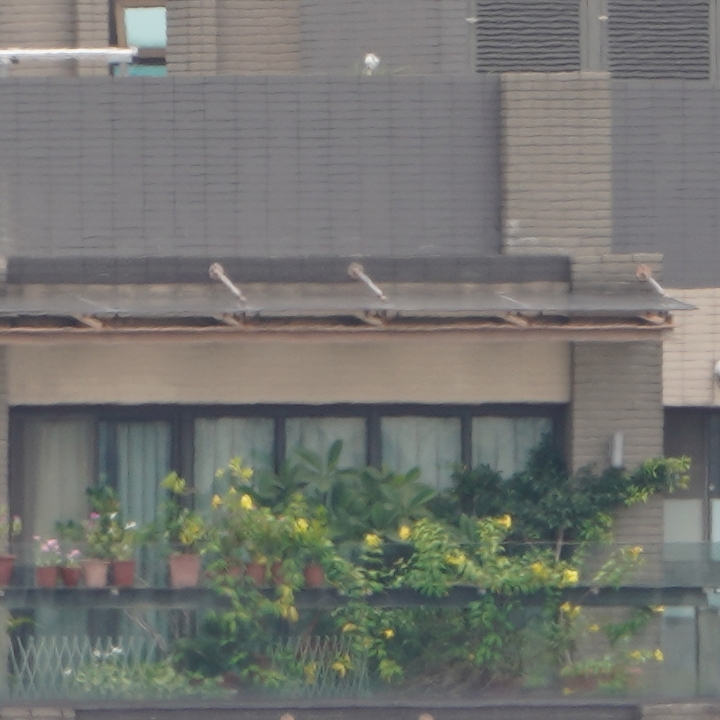 Sony 200-600mm f/5.6-6.3G OSS 超望遠變焦鏡頭的絕佳呈現