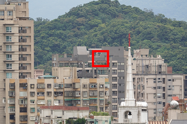 Sony 200-600mm f/5.6-6.3G OSS 超望遠變焦鏡頭的絕佳呈現