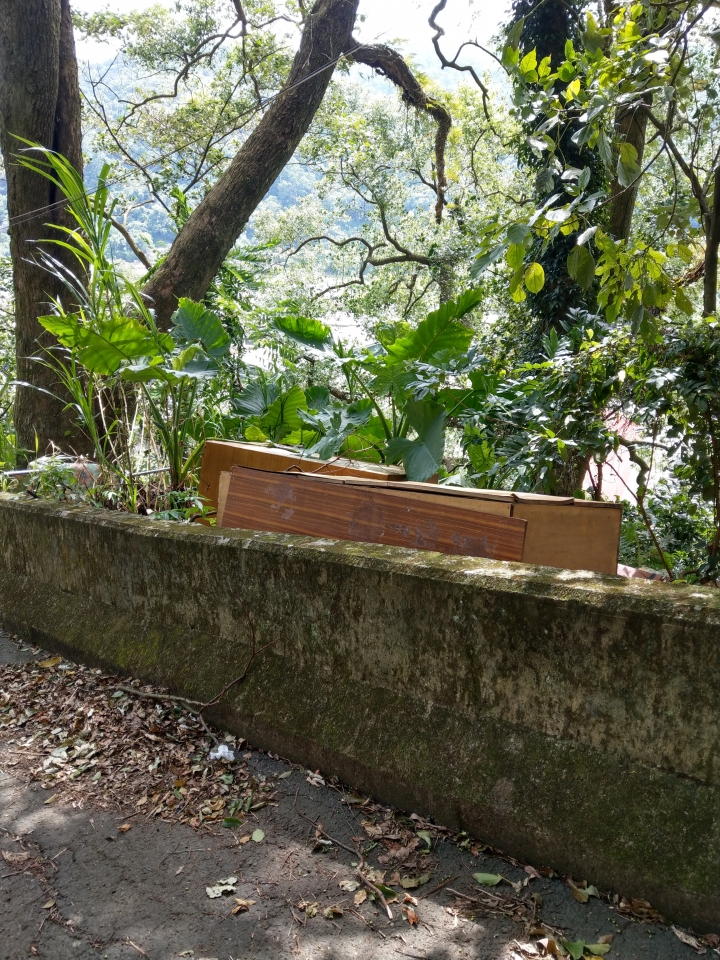 請問鄰居把垃圾堆到門口，又把垃圾放到隔壁無人居住的家，且道路旁也有不知誰丟的廢棄物，這可以檢舉嗎??