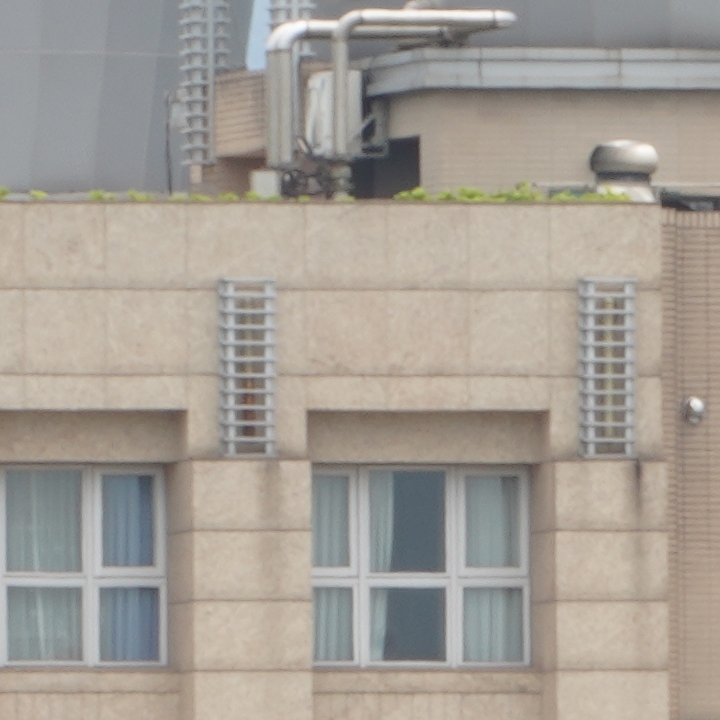 Sony 200-600mm f/5.6-6.3G OSS 超望遠變焦鏡頭的絕佳呈現