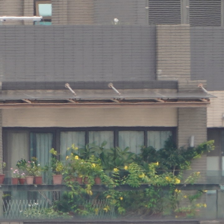 Sony 200-600mm f/5.6-6.3G OSS 超望遠變焦鏡頭的絕佳呈現