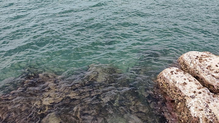 八斗子車站望海巷海灘浮潛趣