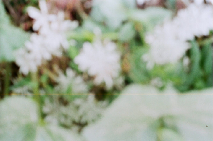 一捲悲壯的底片