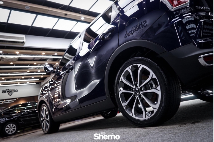 Go. shemo 實墨鍍膜
