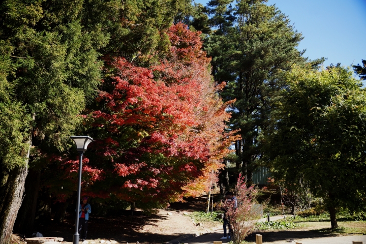 親自體驗Ford Ranger