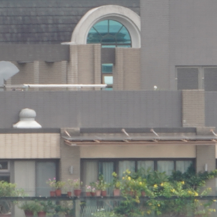 Sony 200-600mm f/5.6-6.3G OSS 超望遠變焦鏡頭的絕佳呈現