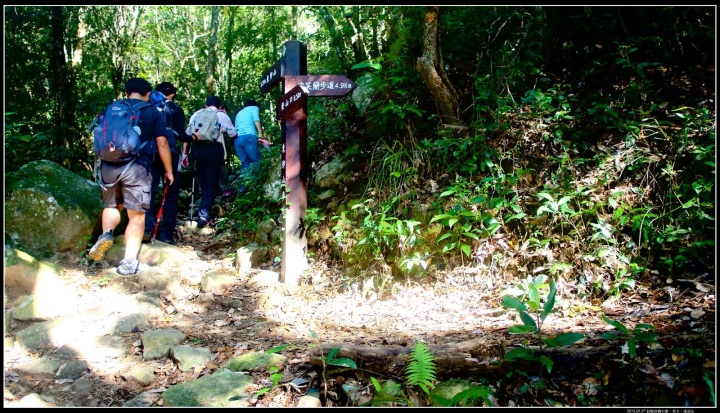 路線紀錄:回憶文【東卯山】谷關七雄五師弟