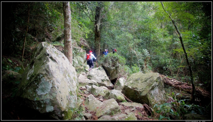 路線紀錄:回憶文【東卯山】谷關七雄五師弟