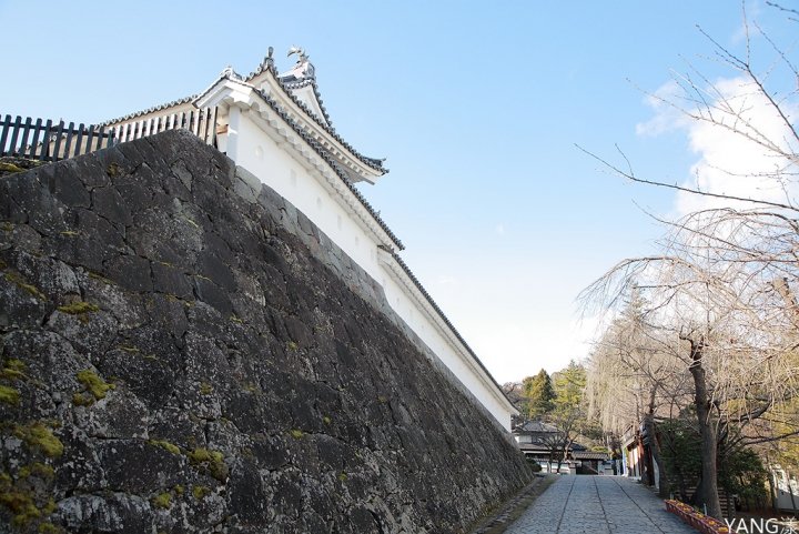 【日本】東京進出,利用JR東日本南北海道周遊券九日遊(Day4~Day6)