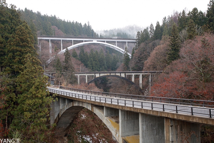 【日本】東京進出,利用JR東日本南北海道周遊券九日遊(Day4~Day6)