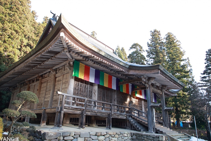 【日本】東京進出，利用JR東日本南北海道周遊券九日遊（Day7～Day9）