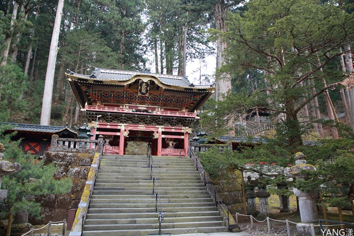 【日本】東京進出，利用JR東日本南北海道周遊券九日遊（Day7～Day9）