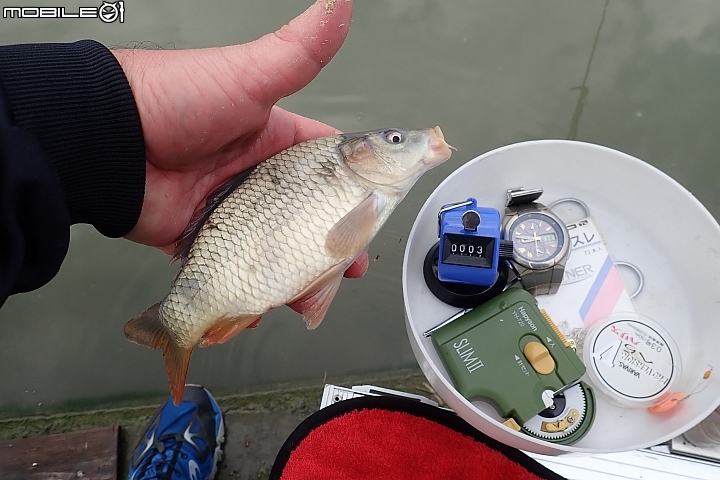 颱風後釣魚沒摃龜!但心情並不開心!(為本土魚種憂心~sorry~有點嘮叨!)