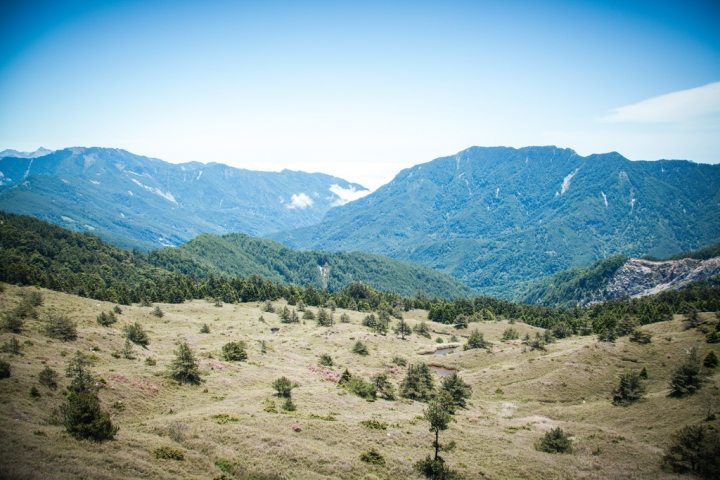 南投ll帶著爸媽旅行趣。明琴清境莊園住一晚。合歡山看高山杜鵑