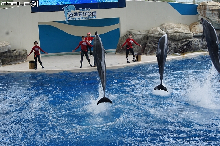 花蓮海洋公園
