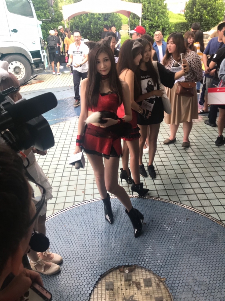 點我看大圖 本本的妖精裝太可愛!!已戀愛