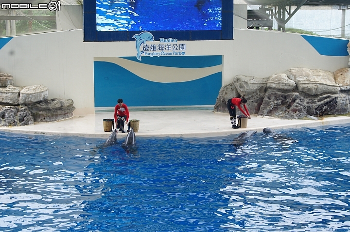 花蓮海洋公園