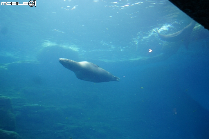 花蓮海洋公園