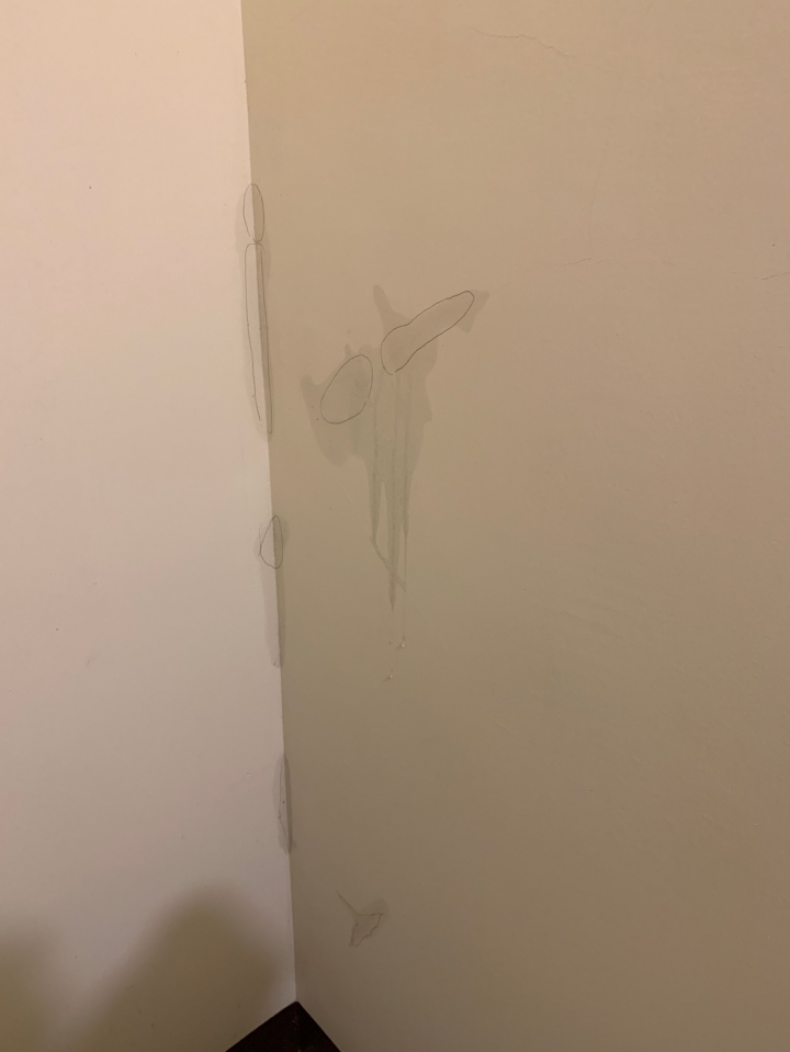 請教,求救 每逢大雨牆壁必滲水