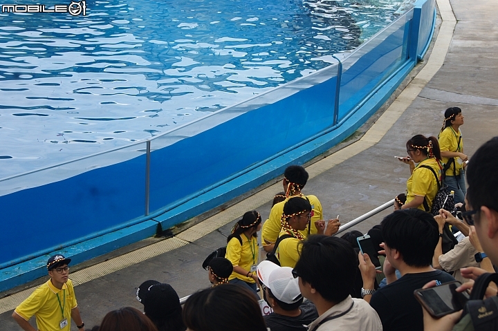 花蓮海洋公園