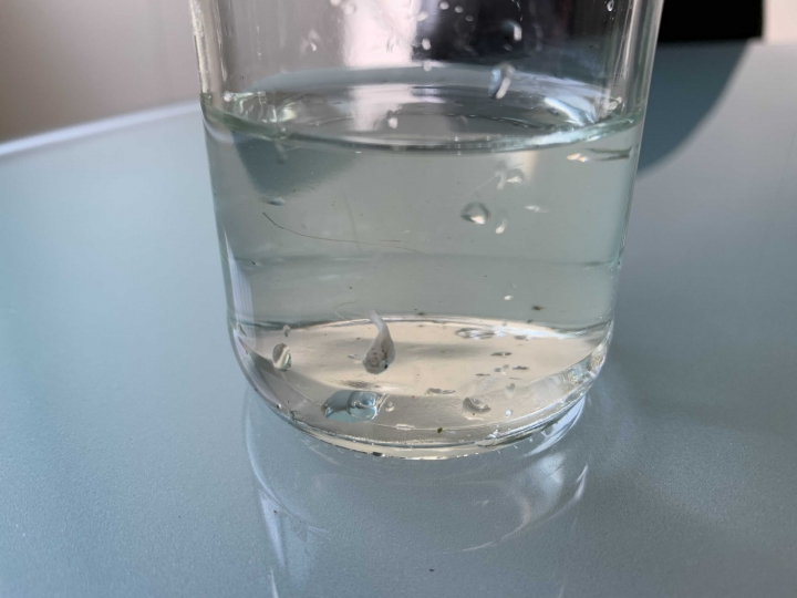 請問這是什麼魚？