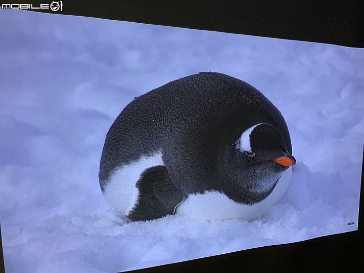 顛覆傳統投影機造型 ViewSonic 質感系 4K LED無線智慧投影機 X10-4K 新機開箱