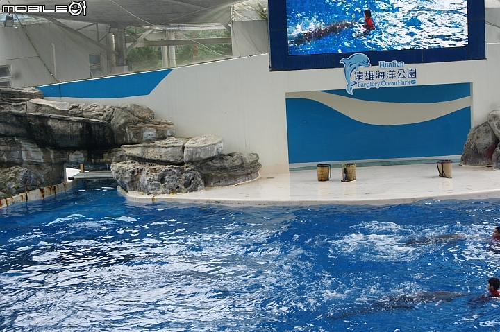 花蓮海洋公園