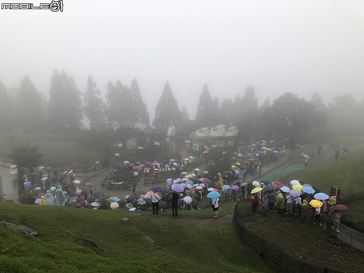 開Outlander上山比想像輕鬆自在