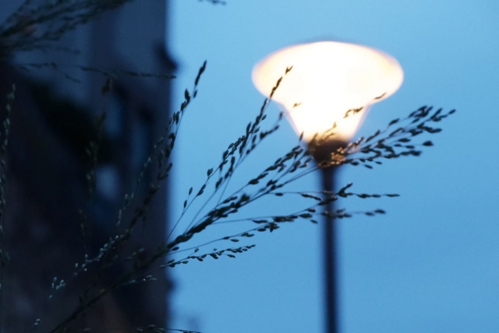 xt 100半年來的攝影集