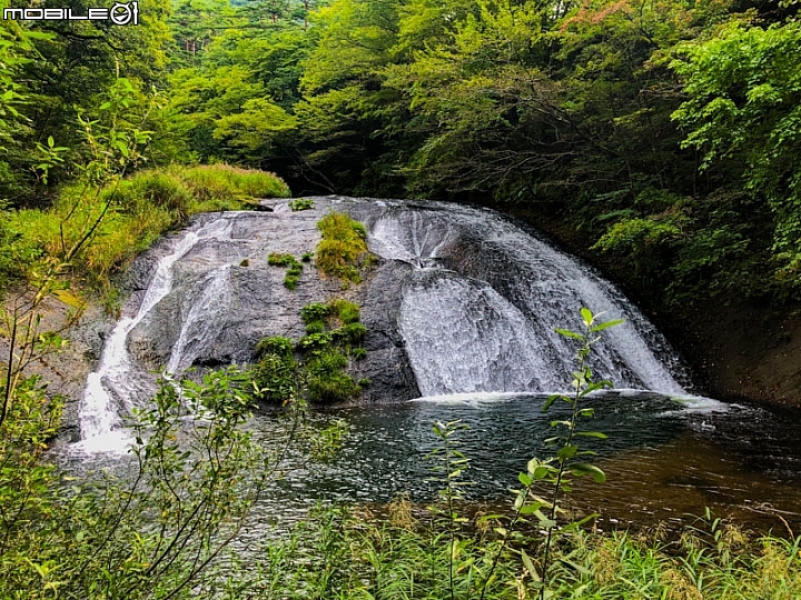 點我看大圖 日本東北 大啖牡蠣、牛舌、海膽!日本三景松島、世界遺產平泉 就靠巴士~仙台松島平泉花卷線