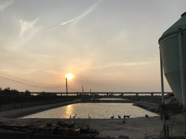 徒步環島Day8 彰化30.3K-我想念的在地人