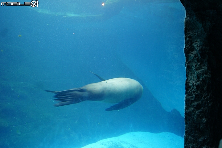 花蓮海洋公園