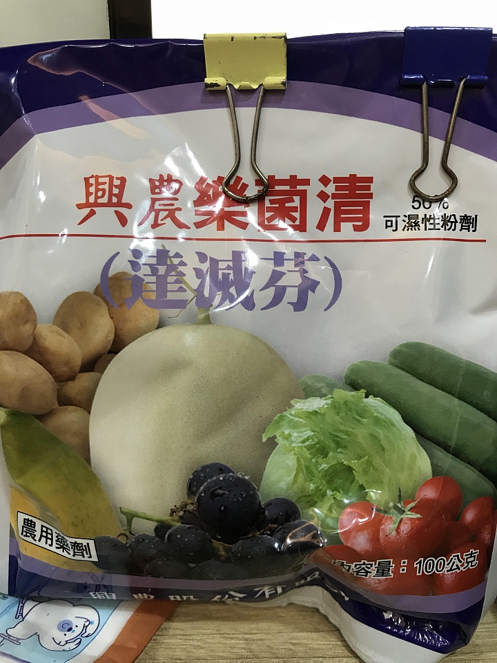 朝顏(牽牛花)生病了，請問大家意見