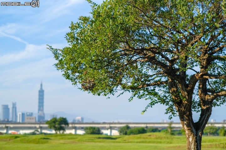 Kamlan 50mm f/1.1 II 使用心得分享