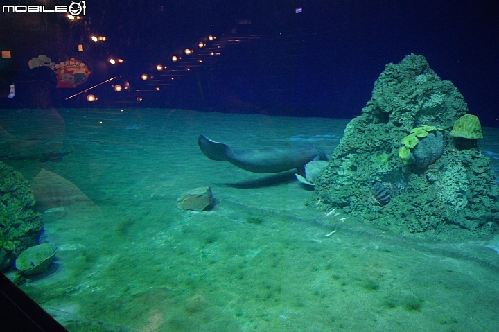 花蓮海洋公園