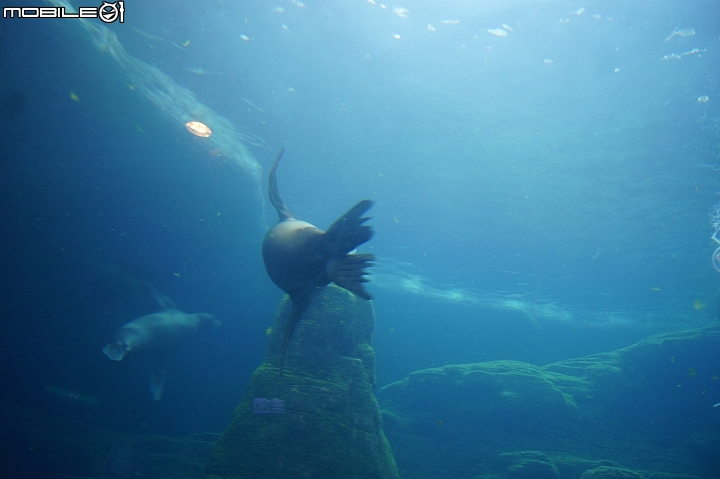 花蓮海洋公園