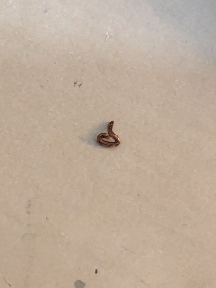 田宮 1/16 二戰德軍機槍兵(圖多)