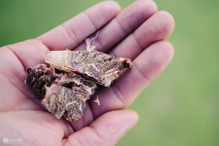 點我看大圖 她說天涯若是卷底片:離天空那麼近的地方