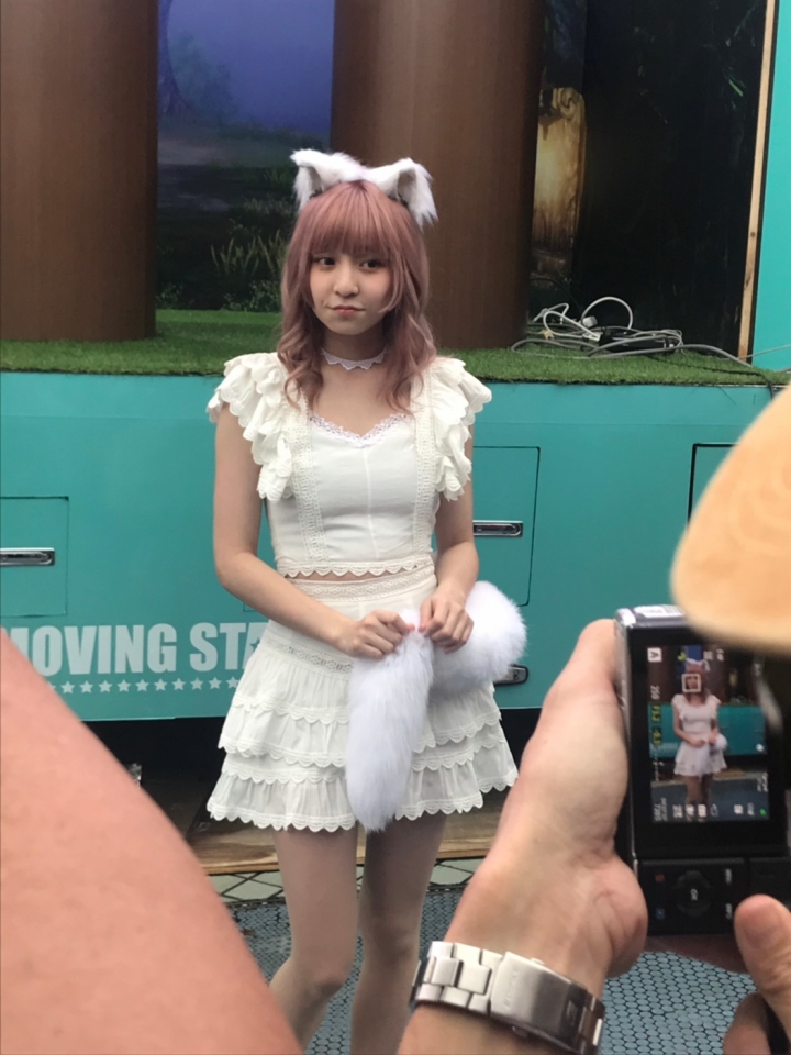 點我看大圖 本本的妖精裝太可愛!!已戀愛