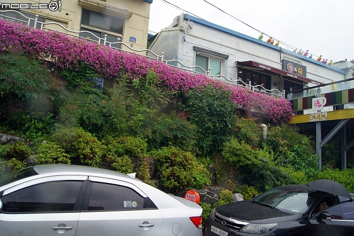 甘川洞文化村