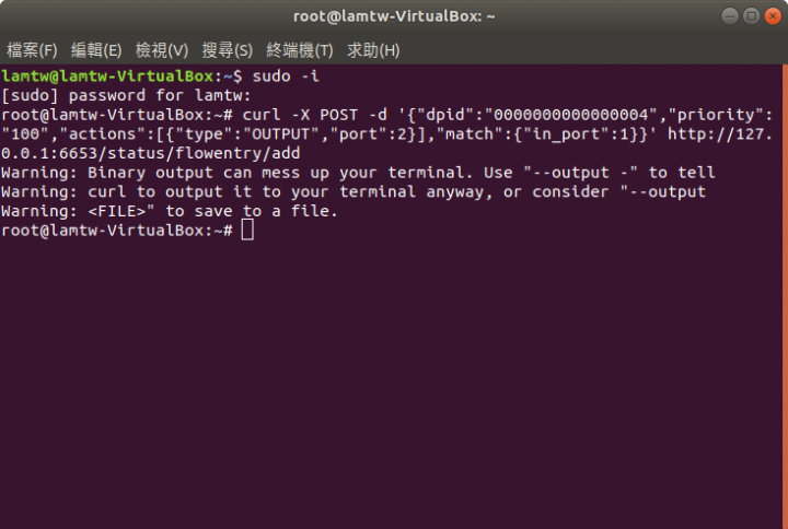 點我看大圖 急......Ubuntu 18.04 環境使用MIninet 和MiniNAM 執行pingall失敗
