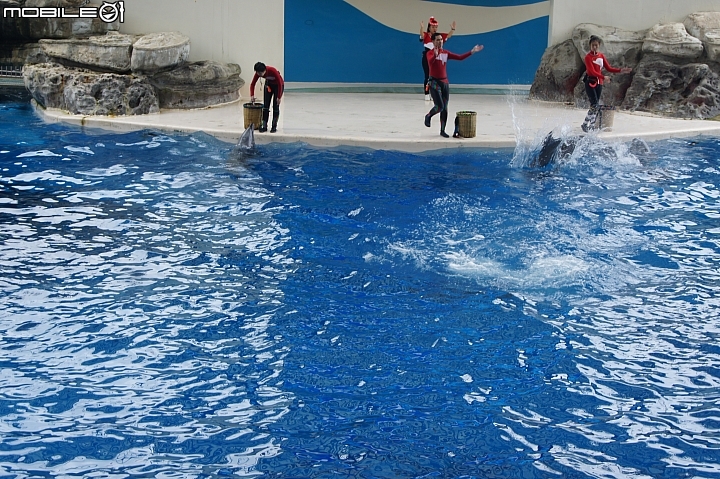 花蓮海洋公園