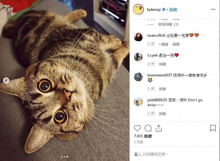 滿滿滿滿的喵星人！